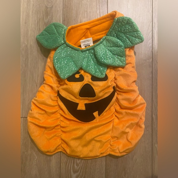 Pupkin Costume - Medium - Picture 2 of 4